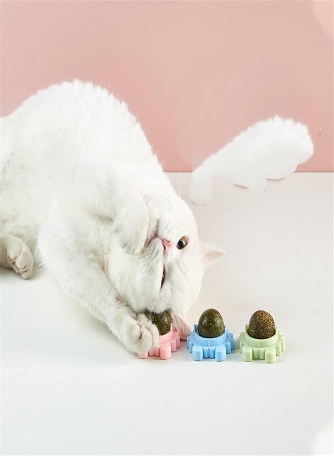 MVM Enterprise Catnip Balls Toy for Cat Edible Balls Catnip Wall Roller for Cats Lick, Teeth Cleaning Kitten Chew Toys Safe Healthy Cat Wall Treats for Kitten (1) - Image 4